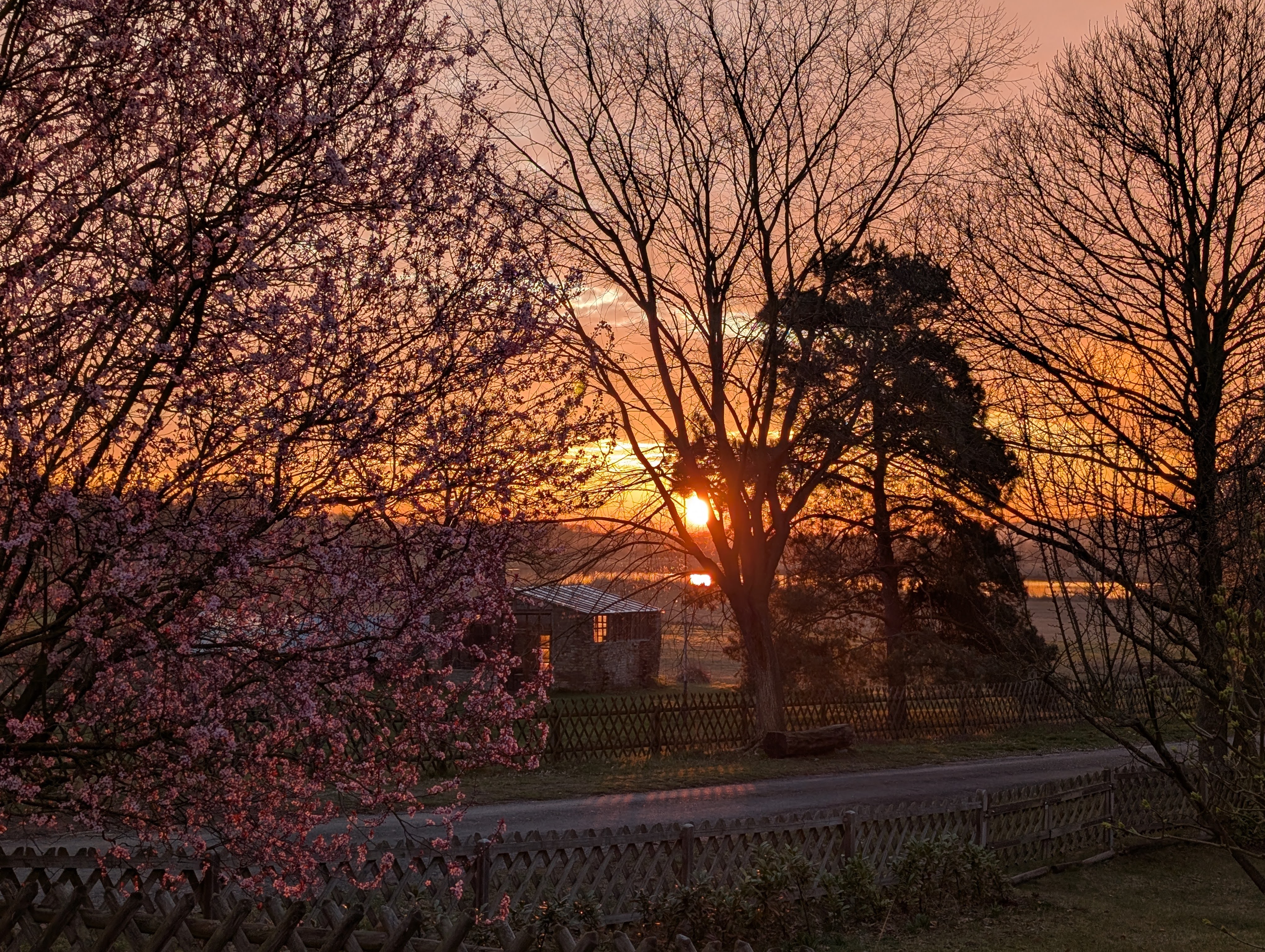 Sonnenaufgang im Frühling
